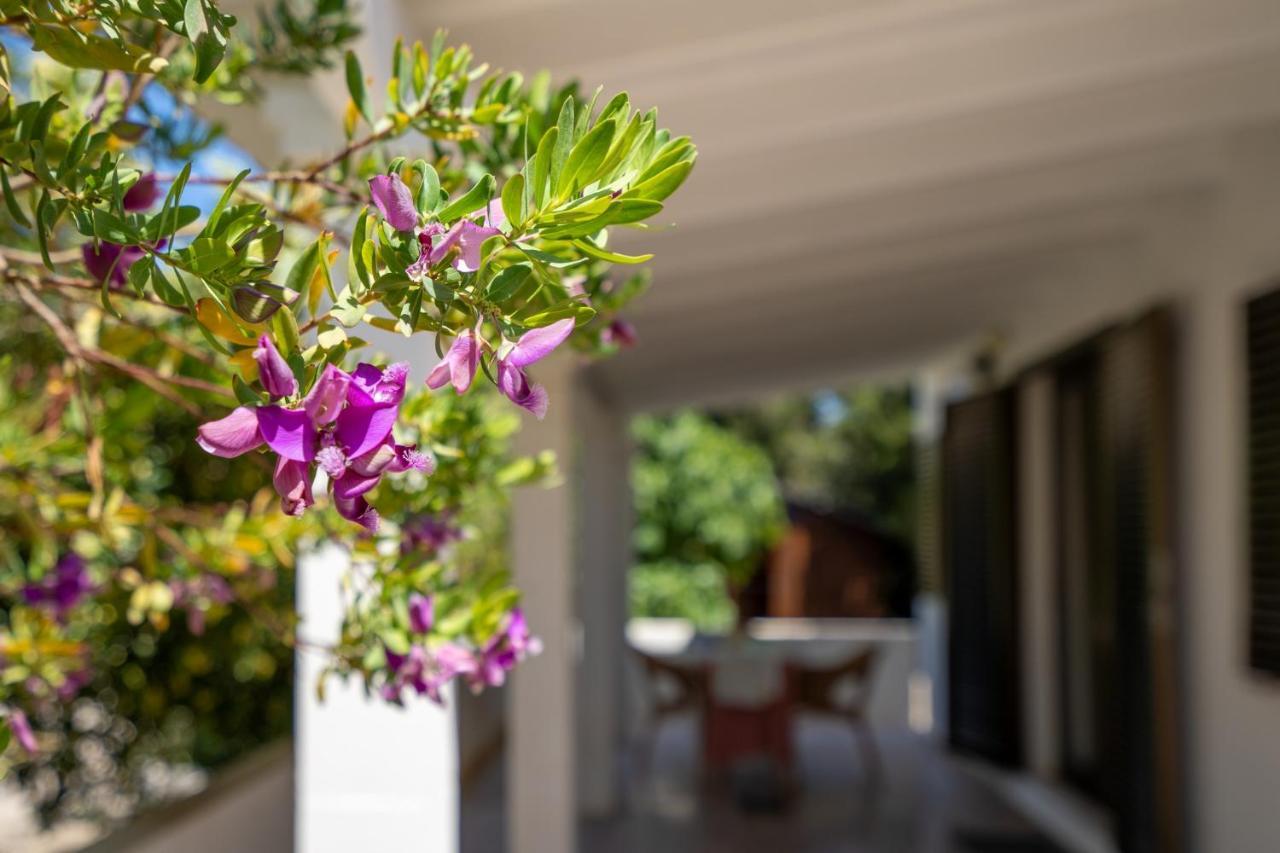 Bettina & Birgitta - Formentera Break Villa เอสปุญอลส์ ภายนอก รูปภาพ